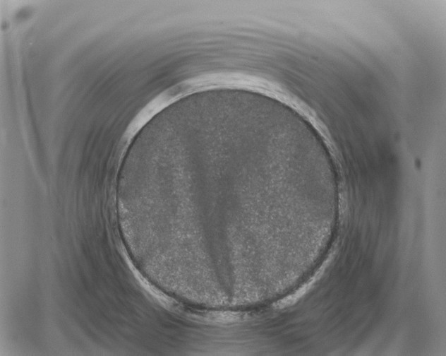 X0000085041521200703191220