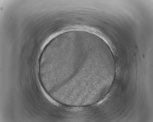 X0000085041523200703191220