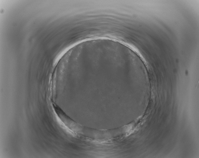 X0000085041524200703191220