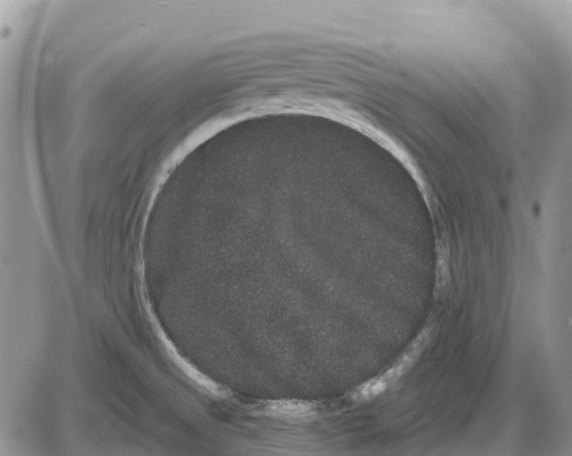 X0000085041525200703191220