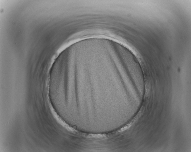 X0000085041526200703191220