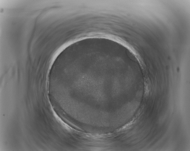 X0000085041527200703191220