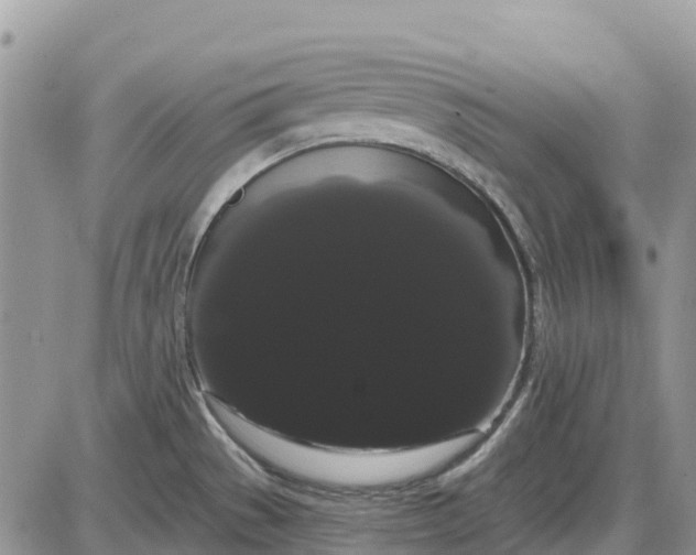 X0000085041529200703191220