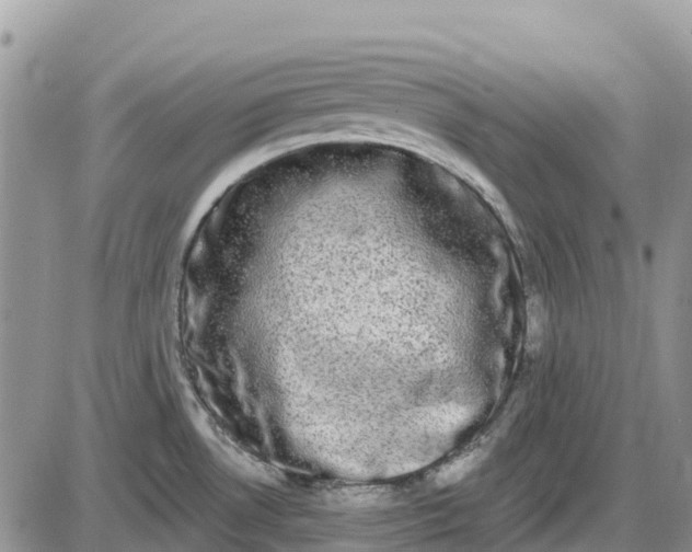 X0000085041530200703191220