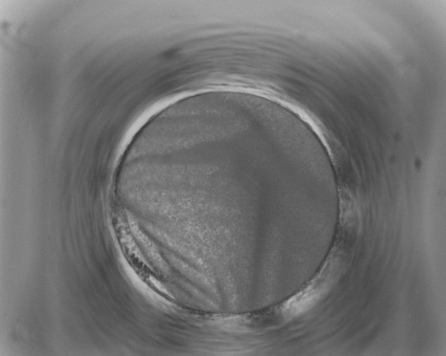 X0000085041531200703191220