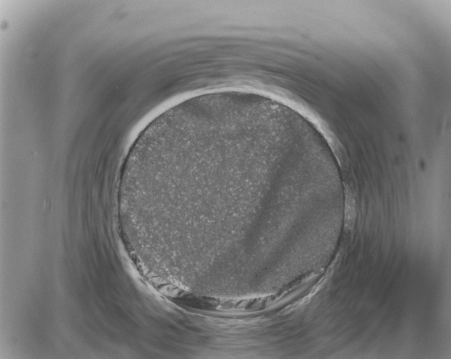 X0000085041534200703191220