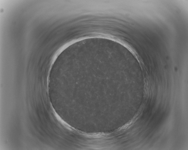 X0000085041535200703191220