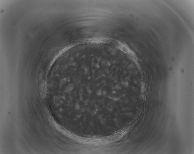 X0000085040012200703261324