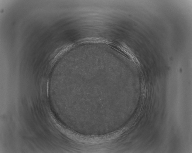 X0000085040014200703261324