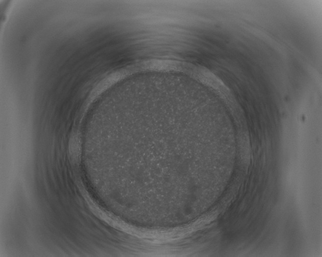 X0000085040016200703261324