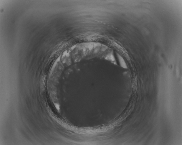 X0000085040018200703261324