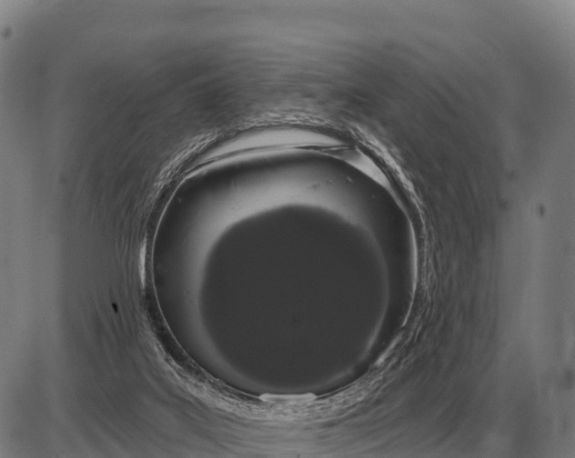 X0000085040019200703261324