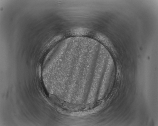 X0000085040021200703261324