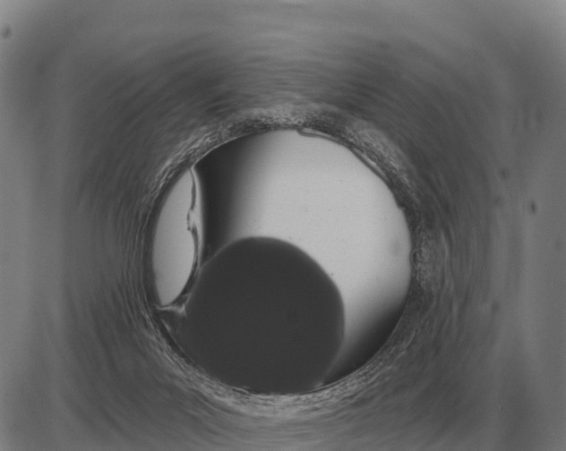 X0000085040023200703261324