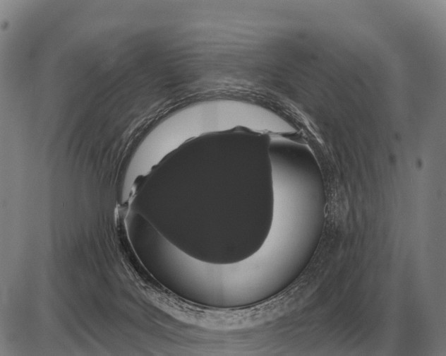 X0000085040027200703261323