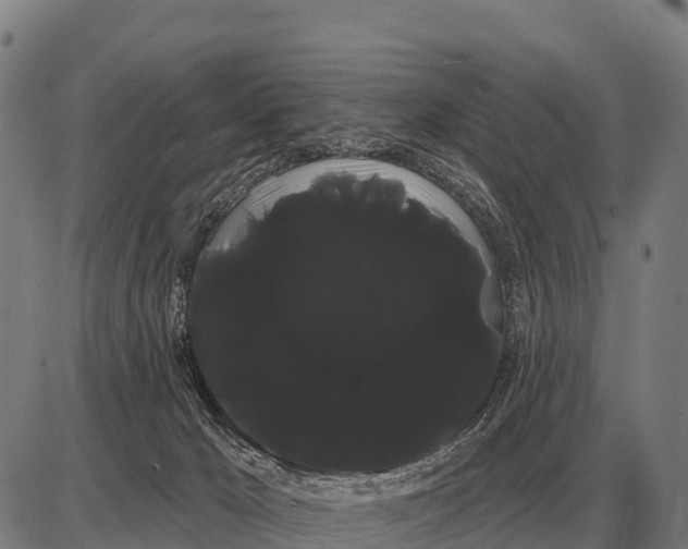 X0000085040029200703261323