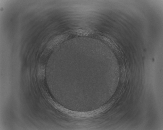 X0000085040034200703261323