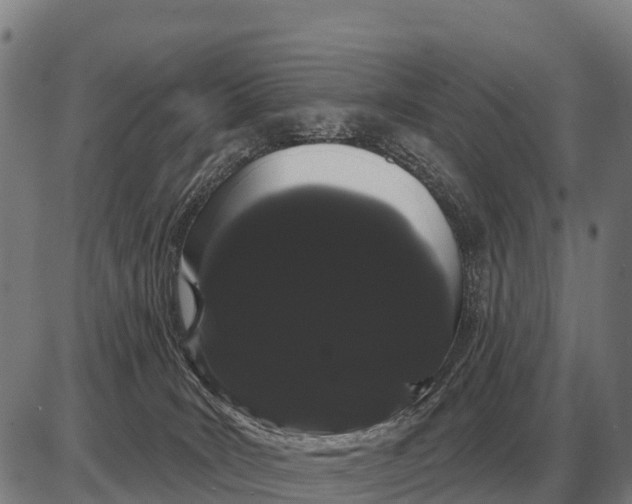 X0000085040035200703261323