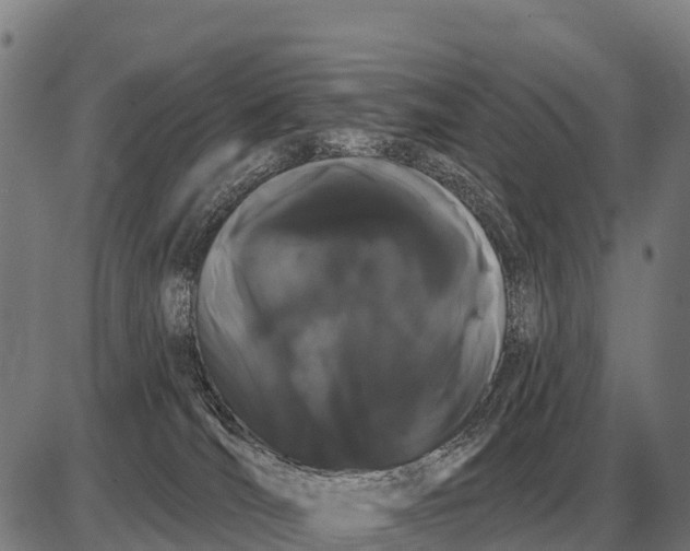 X0000085040036200703261323