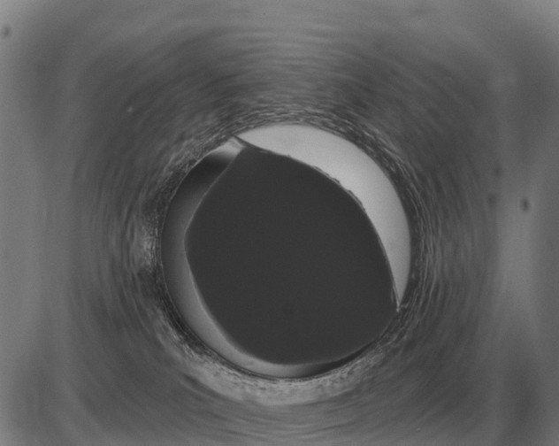 X0000085040039200703261323