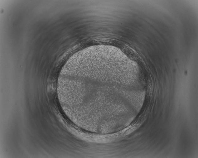 X0000085040040200703261323