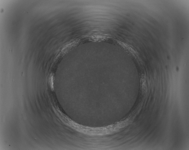 X0000085040042200703261323