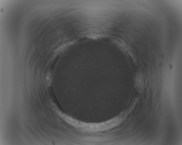 X0000085040043200703261323