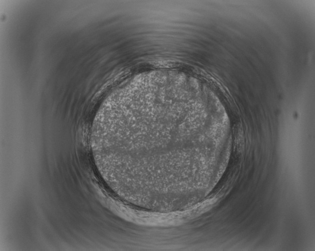X0000085040044200703261323