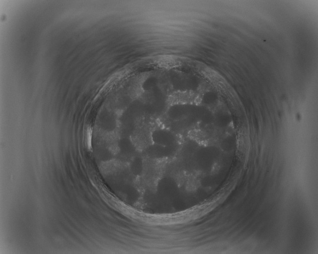 X0000085040046200703261323