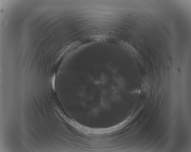 X0000085040047200703261323