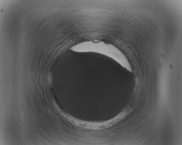 X0000085040048200703261323
