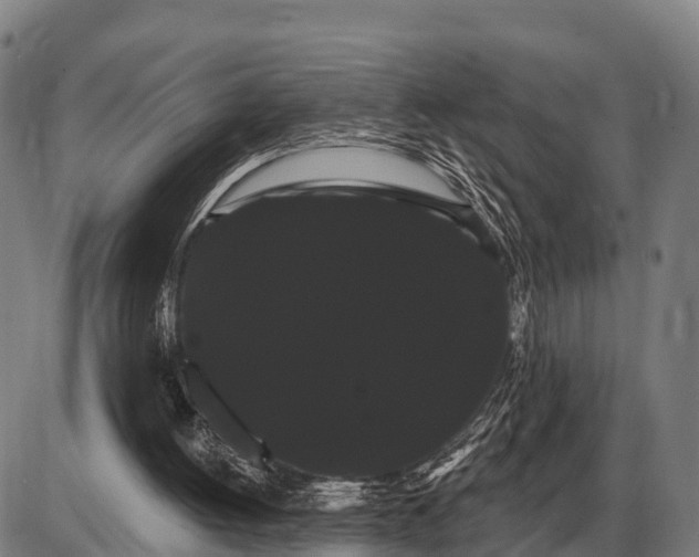 X0000085040052200703261322