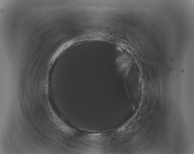 X0000085040054200703261322