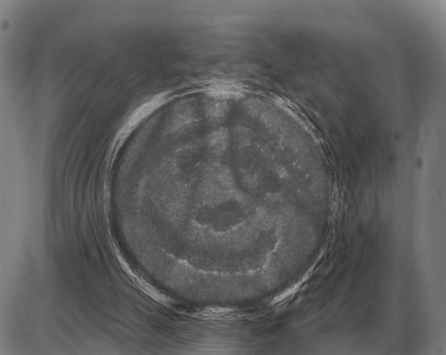 X0000085040055200703261322