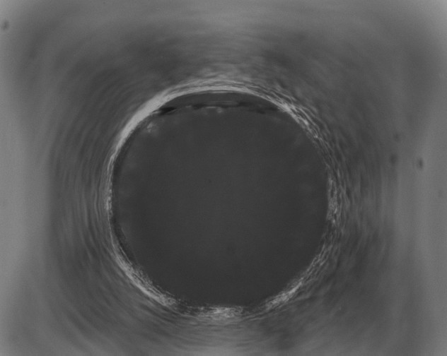 X0000085040056200703261322