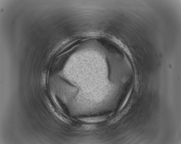 X0000085040057200703261322