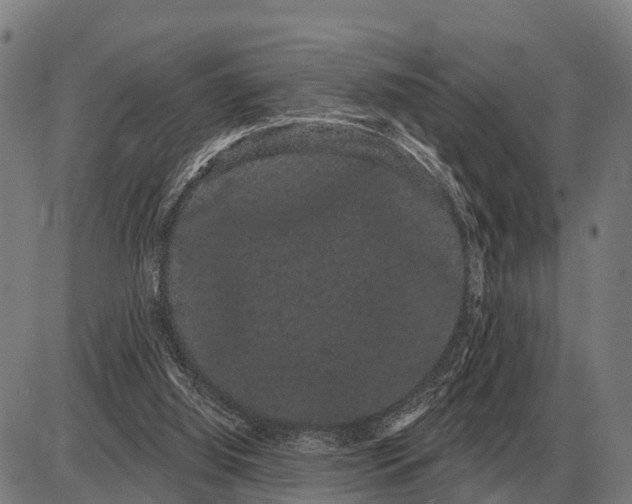 X0000085040060200703261322