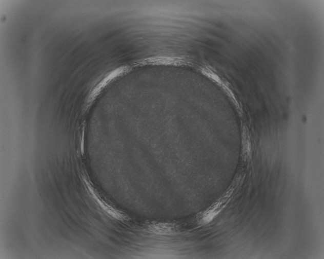 X0000085040062200703261323