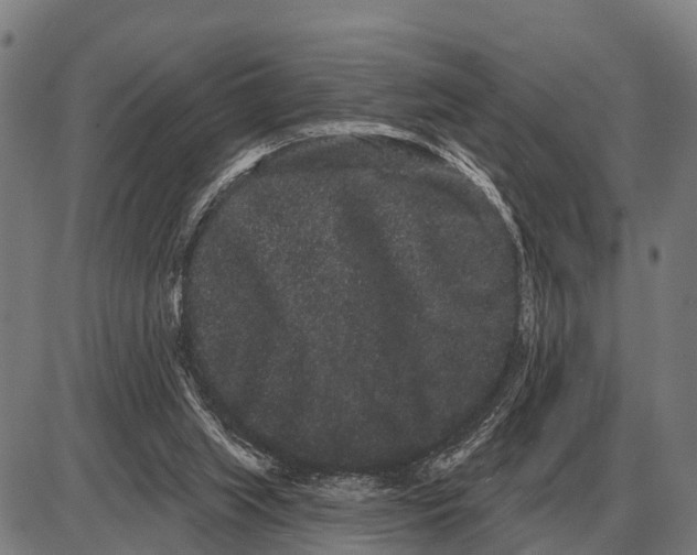 X0000085040063200703261323