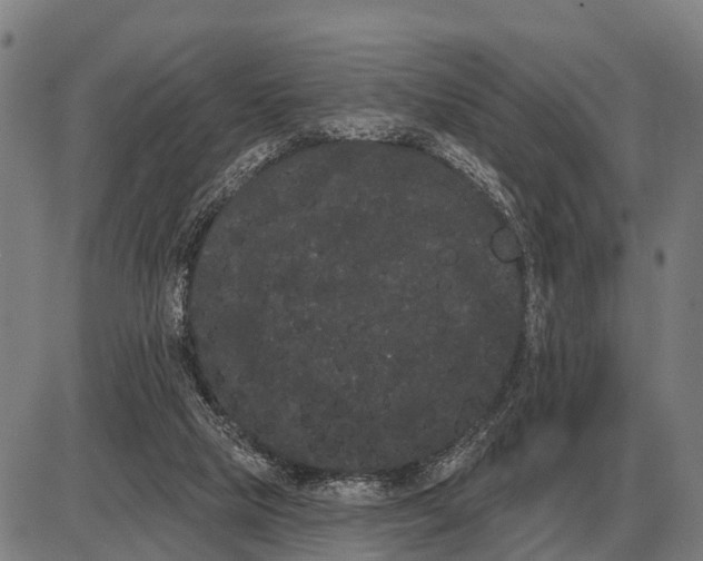 X0000085040065200703261323