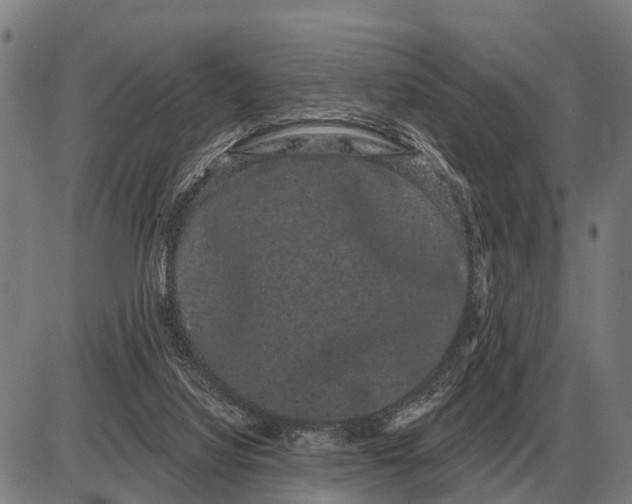 X0000085040068200703261323