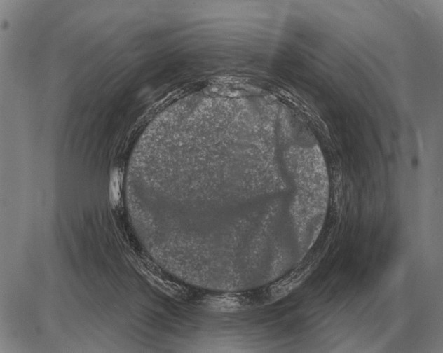 X0000085040075200703261323