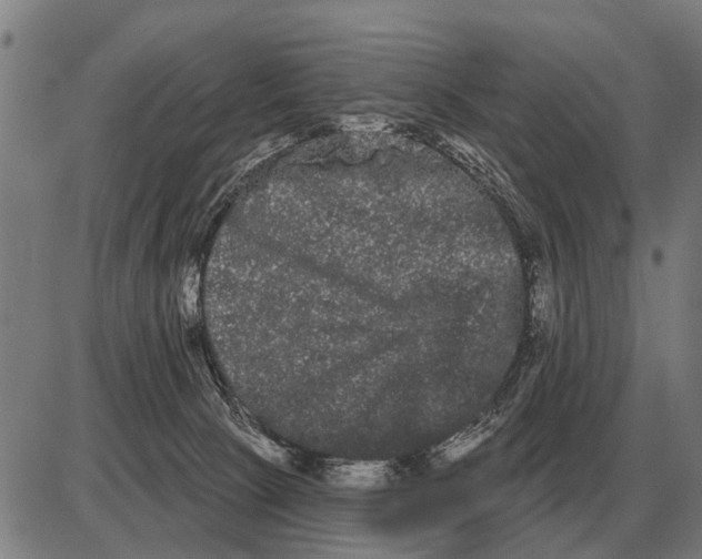 X0000085040081200703261323