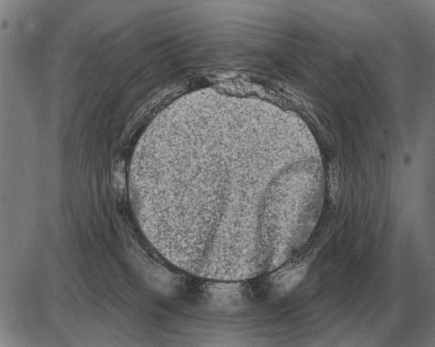 X0000085040085200703261323