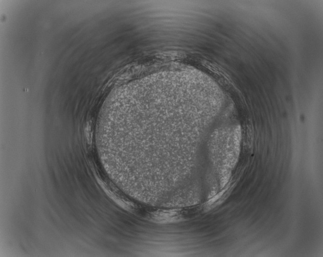 X0000085040086200703261323