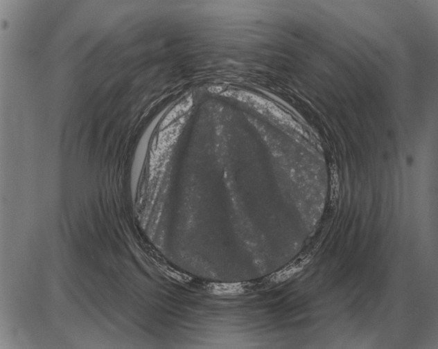 X0000085040088200703261323