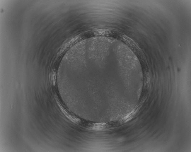 X0000085040090200703261323