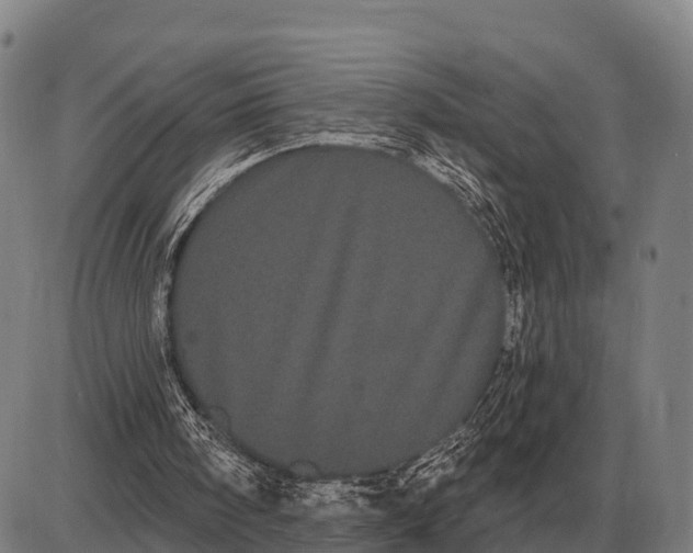 X0000085040098200703261322
