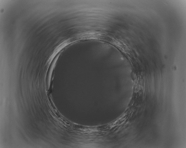 X0000085040099200703261322