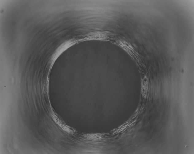 X0000085040100200703261322